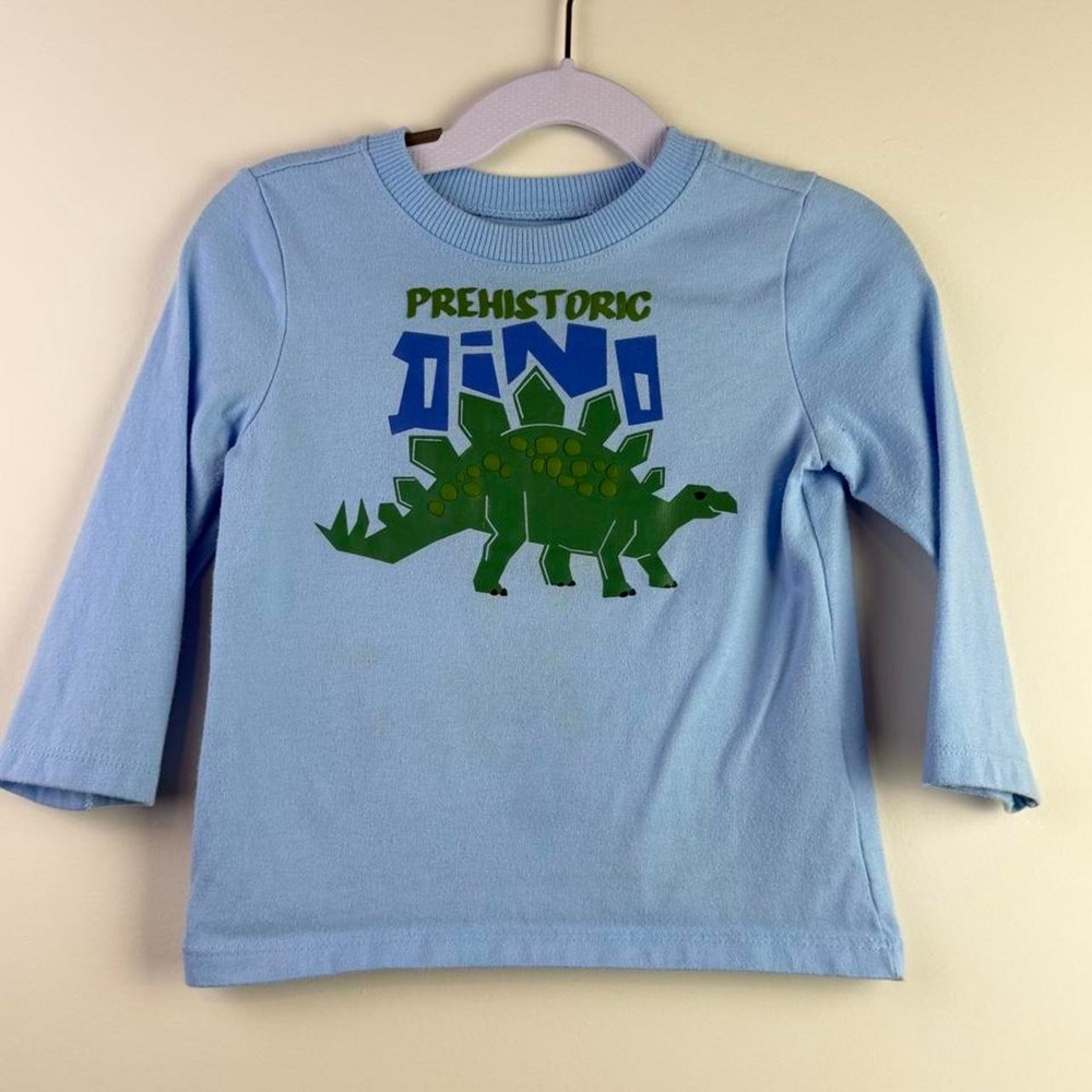 Baby Boys Dinosaur T-Shirt Blue Green Stegosaurus Prehistoric Dino 18M